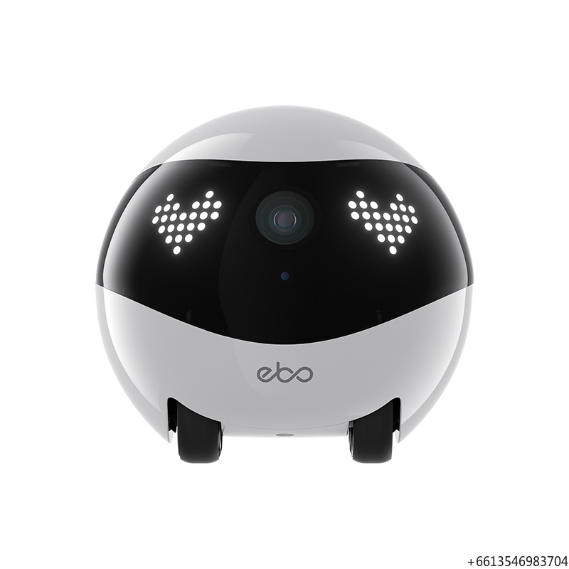 Caméra robotique de sécurité d - Home Security Robots avis et prix